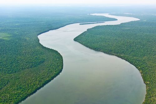Amazonas-From-Above-485x728